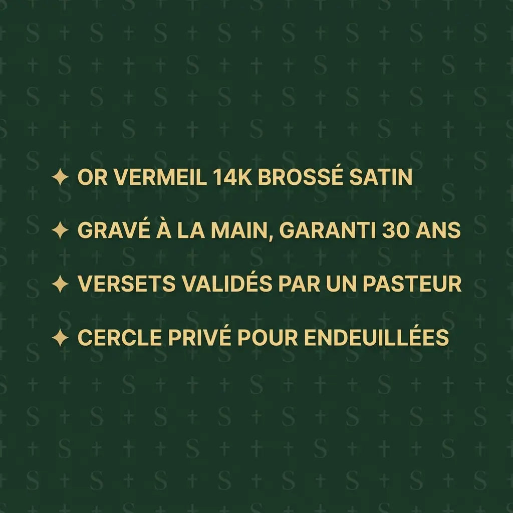 Le Bouclier